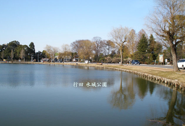 行田 水城公園の釣り