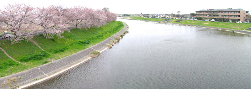 びん沼川 へらぶな釣り場