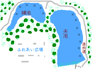 船越堤公園の池