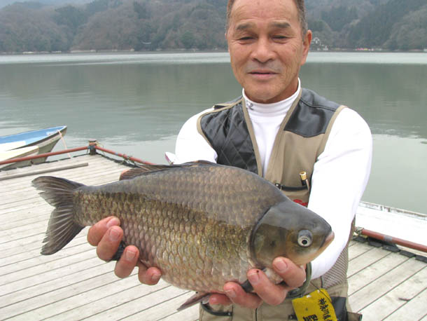 相模湖 五宝亭へらぶな釣り ワカサギ釣り へら鮒 わかさぎ釣り