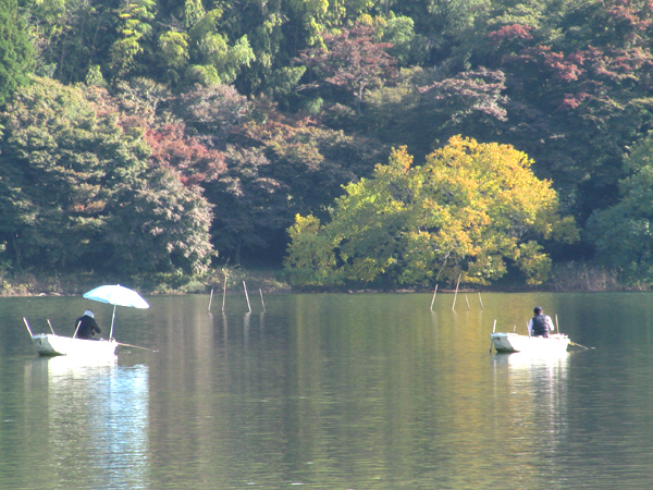 一碧湖