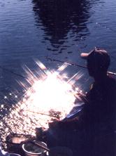 カワセミの池ヘラブナ釣り