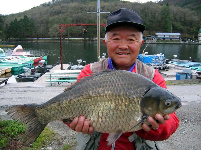 木崎湖へらぶな釣り