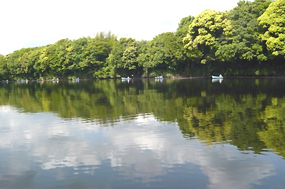 三島湖へらぶな釣り