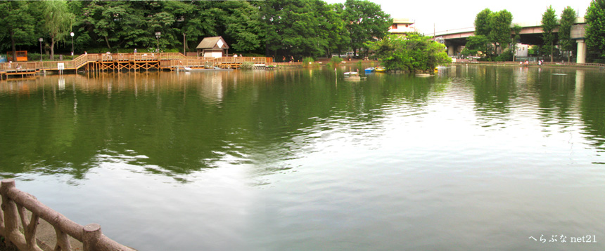 板橋　見次公園の池　へらぶな釣り