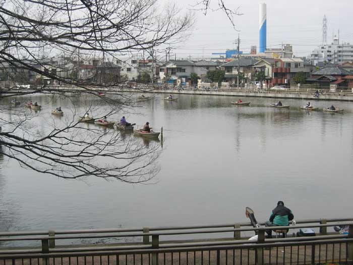 水元公園小合溜 へらぶな釣り