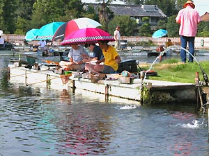 へらぶな釣り武蔵の池