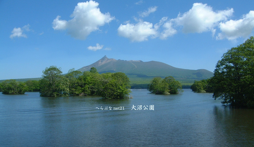 北海道 大沼公園 へら鮒釣り