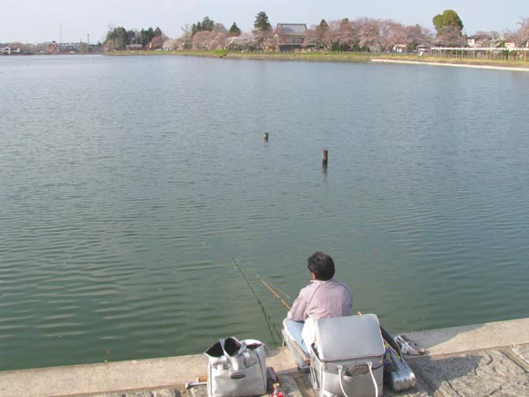 砂沼へら鮒ボート釣り