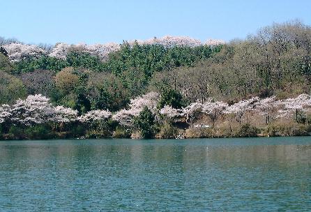 竹沼へら鮒釣り