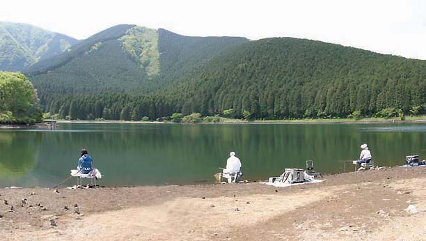 田貫湖へらぶな釣り