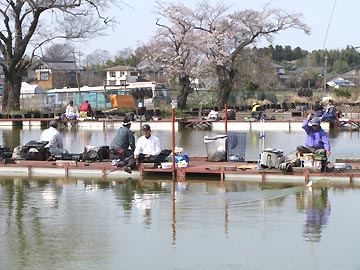 筑波白水湖