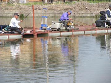 ヘラブナ 管理釣り場