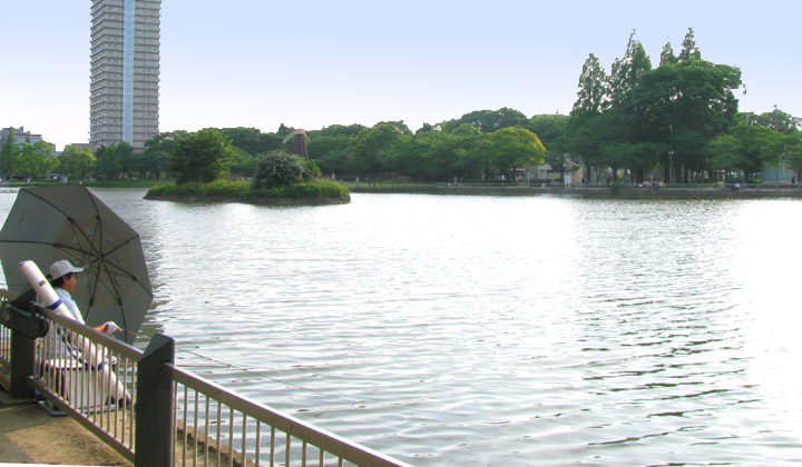 浮間公園の池　釣り