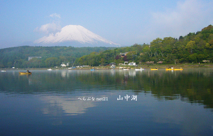 山中湖ヘラブナ釣り