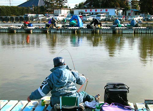 谷和原大沼のへら鮒釣り