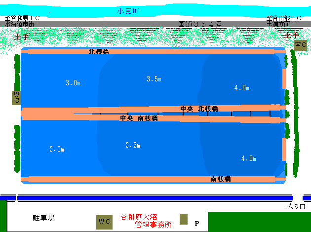 谷和原大沼ポイントmap