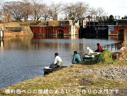 横利根川へら鮒