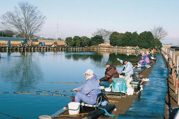 吉川 へら 鮒 センター