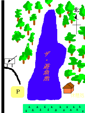 遊魚池map