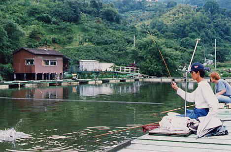 隠谷池へら鮒釣り