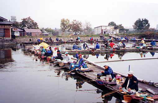 京都中池へら鮒釣り