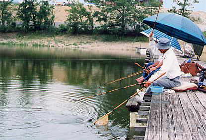 新松池へらぶな釣り