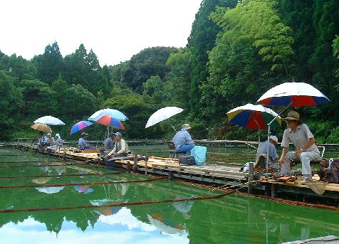 釣り池弁慶池